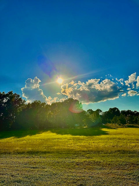 Botanical Breeze Wax melts